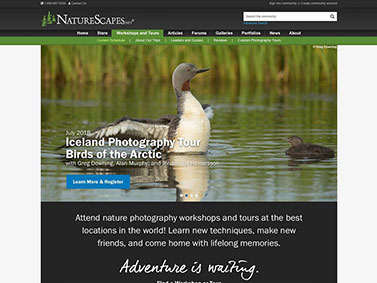 NatureScapes Workshops and Tours - Current Schedule