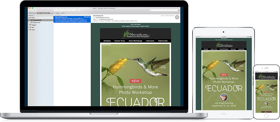 NatureScapes Travel Email Marketing - Ecuador